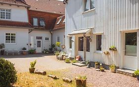 Blauquarz Und Rauchquarz